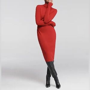 Express Turtleneck Long Sleeve Midi Sweater Dress in Small